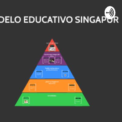 Opinión personal , rol del amino y docente