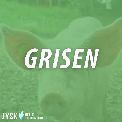Grisen 2026 - E4: ERFA på lyd - klargøring af klimastalden til vinterkulden