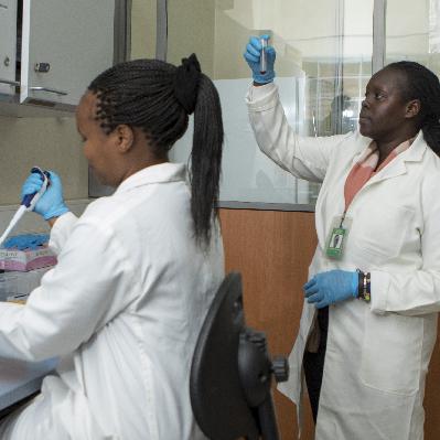 Gender bias at the heart of medical research