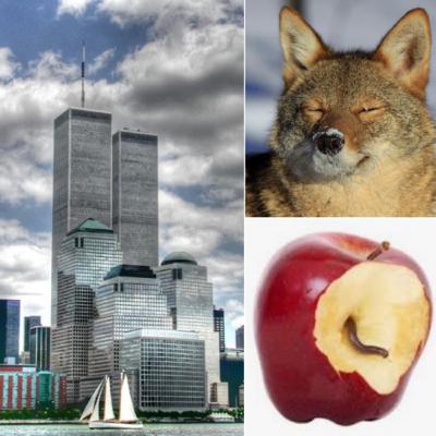 Coyote Prophet Takes A Bite Out Of The Big Apple, And The Big Apple Bites Back!