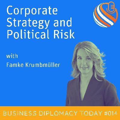 Corporate Strategy and Political Risk