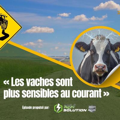 Saison 4 - Épisode 2 - Les vaches sont plus électro-sensibles ! - Les tensions parasites