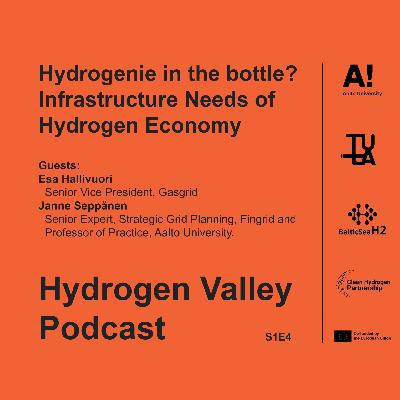 Hydrogenie in the bottle? Infrastructure Needs of Hydrogen Economy