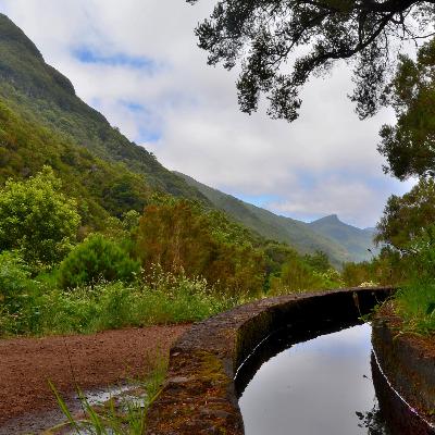 69. Irány Madeira: közvetlen járat, ötletek és tippek