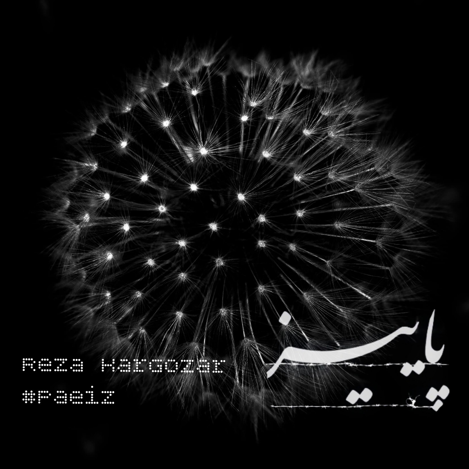 Paeiz - پاییز