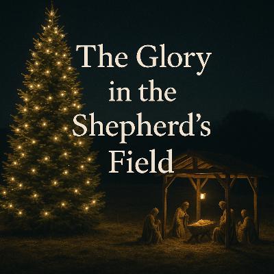 Monday's Daily Nugget - December 8, 2025