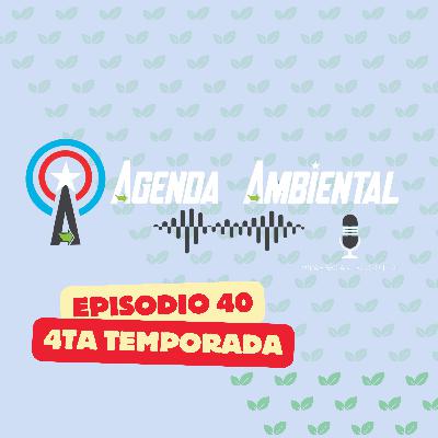 Ep. 40: Comunidad, solidaridad y retos urgentes: animales abandonados y emociones en Navidad Ep. 40: Comunidad, solidaridad y retos urgentes: animales abandonados y emociones en Navidad