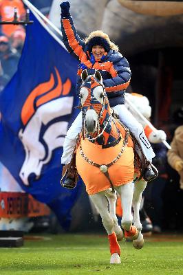 Ann Judge, Thunder-ing! The Denver Broncos Live Mascot.