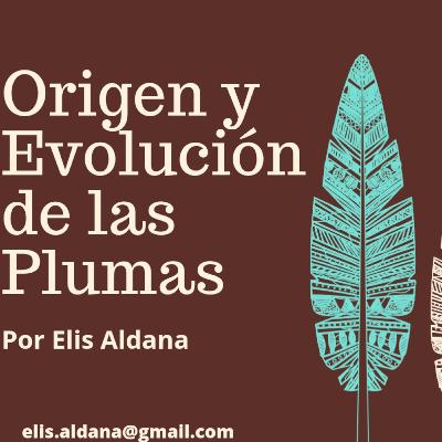 Origen y Evolución de las Plumas