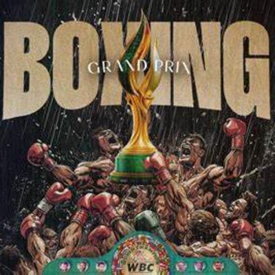 Meine Meinung zum WBC Grand-Prix Boxturnier