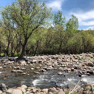 emily brontë'nin uğultulu tepeler'i üzerine emily brontë'nin uğultulu tepeler'i üzerine