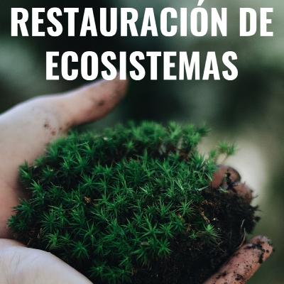Restauración de ecosistemas