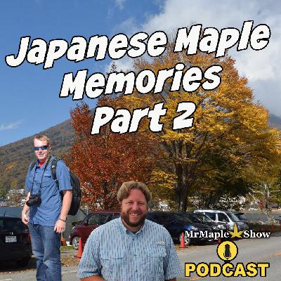 Japanese Maple Memories Part  2: Stories, Trees, and Time | MrMaple Show Podcast