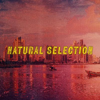 BONUS “AFTER BOCAS”: An Exclusive CrimeCon Panel Discussion