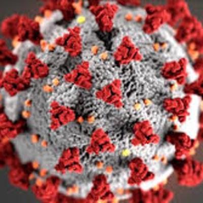 YOU ARE NOT A CORONA VIRUS EXPERT EVERYTHING YOU KNOW IS WRONG!! YOU ARE NOT A CORONA VIRUS EXPERT EVERYTHING YOU KNOW IS WRONG!!