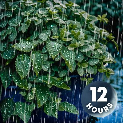 Fall Asleep with Rain Sounds & Trickling Stream | 12 Hours