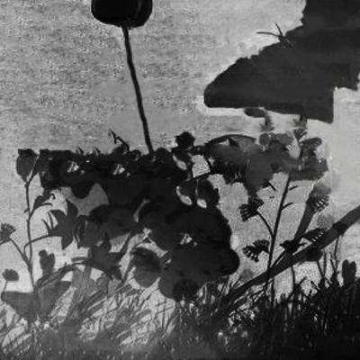 Die Wiese & Wir - Oliver Chlass - 30.04.2016 Die Wiese & Wir - Oliver Chlass - 30.04.2016