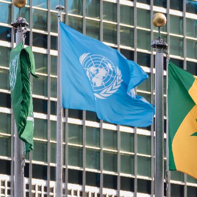 Giornata mondiale dell'Onu | Gli Occhi della Storia