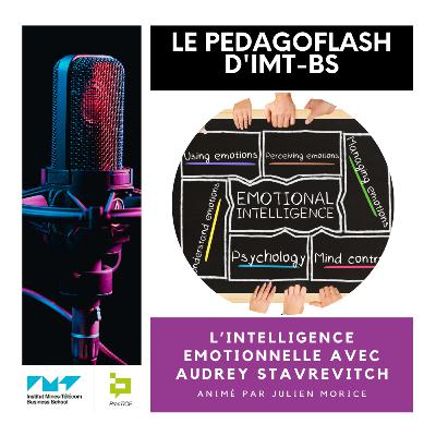 #13 - L'intelligence émotionnelle avec Audrey Stavrevitch