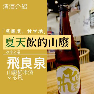 025 飛良泉 マる飛