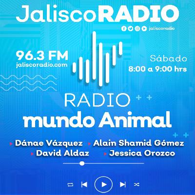 Radio Mundo Animal - Cuidados prenatales - 10 de Mayo del 2025