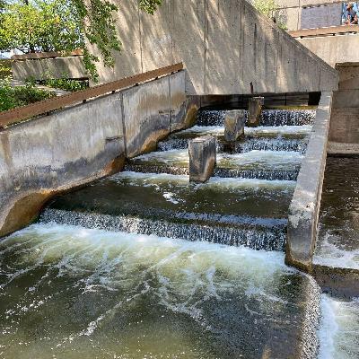 E47: Oops! The Winston W. Royce Story E47: Oops! The Winston W. Royce Story