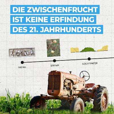 Zwischenfrüchte vor 100 Jahren
