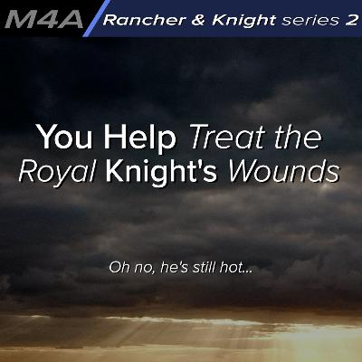 You Help Treat the Royal Knight's Wounds