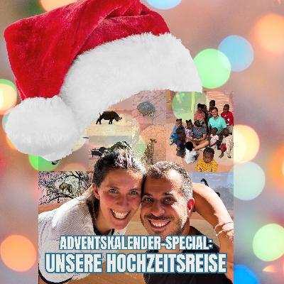 Adventsspecial #6: Ein Traumerlebnis mit Robben