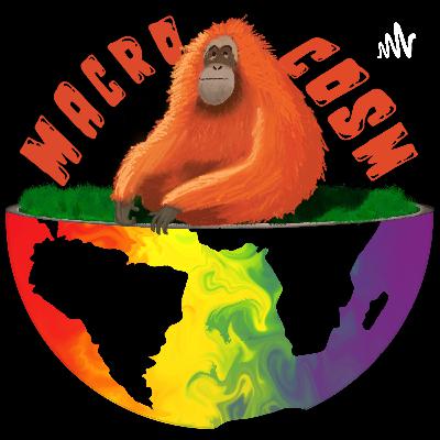 Indian Vulture Crisis
