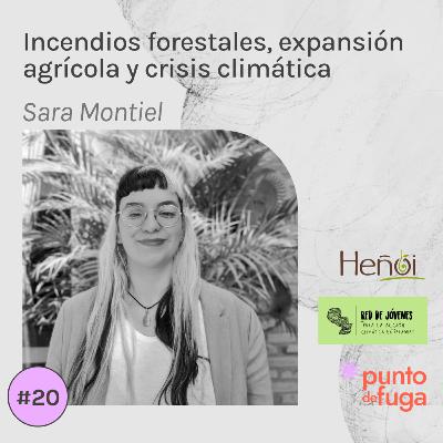 #20 Incendios forestales, expansión agrícola y crisis climática - Sara Montiel - Heñoi
