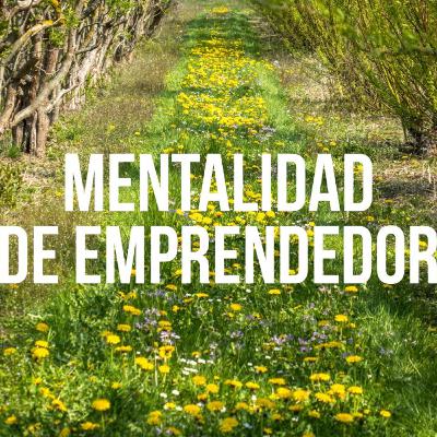 Podcast #20: Mentalidad de emprendedor Podcast #20: Mentalidad de emprendedor