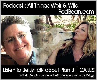 Betsy Klein - Plan B to Save Wolves