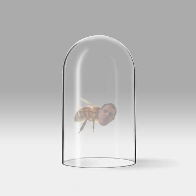 To Bee or Not To Bee