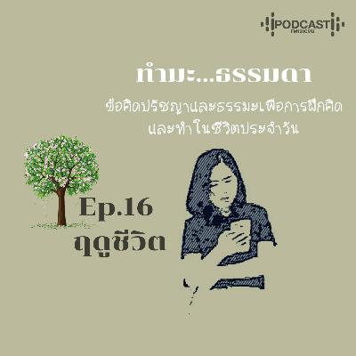 ทำมะ...ธรรมดา Ep.16 ฤดูชีวิต ทำมะ...ธรรมดา Ep.16 ฤดูชีวิต