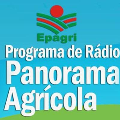 16 de outubro - Queijo em Braço do Norte