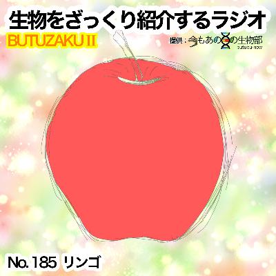 第85話：✉️「リンゴ」をざっくり紹介