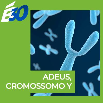 Adeus, cromossomo Y
