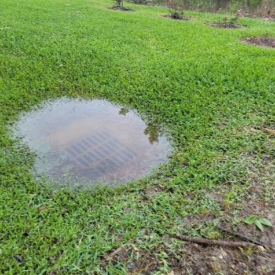 Callin Baton Rouge - What's the REAL reason for BR drainage problems?