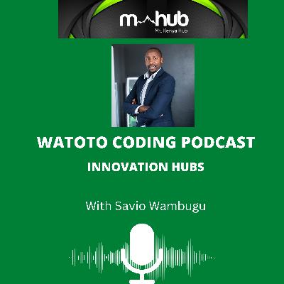 Innovation hubs in Kenya with Savio Wambugu