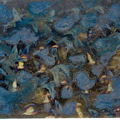 CANTICO Lia Cinà Bezzi, Poesie - Osvaldo Negra, protezione dell'avifauna CANTICO Lia Cinà Bezzi, Poesie - Osvaldo Negra, protezione dell'avifauna