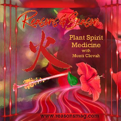 Fire Element Plant Medicine Fire Element Plant Medicine