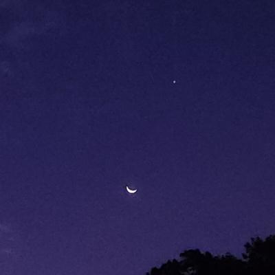 good night…✴︎.°カラスの事は忘れよう from Radiotalk good night…✴︎.°カラスの事は忘れよう from Radiotalk