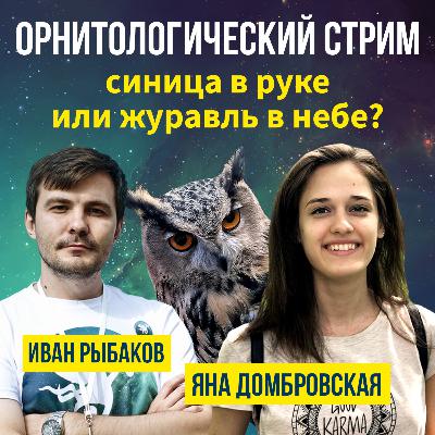 Яна Домбровская (Биологово) - "Синица в руке или журавль в небе?"