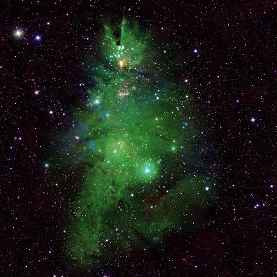 Festlicher Nebel - Leuchtende Kugeln im Weihnachtsbaumhaufen