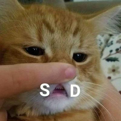 Masih gak jelas