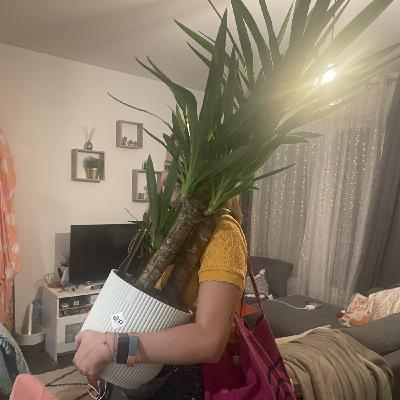 Sistermood 8 : Rempote moi si tu peux