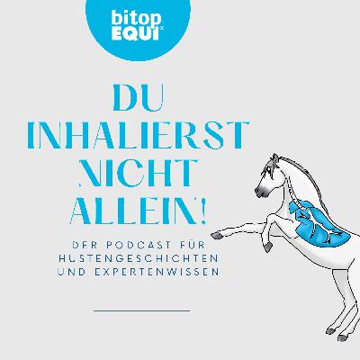 Die Entstehung von Pegasalt - mit Alper & Sarah von Pegasalt