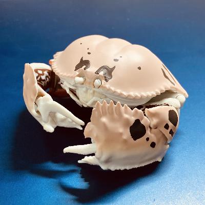 #33 博物館は手のひらに。ガチャガチャで感じる生物のかたち【草とか石とかのラジオ】 #33 博物館は手のひらに。ガチャガチャで感じる生物のかたち【草とか石とかのラジオ】