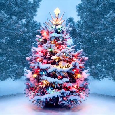 Happy Holidays From The World's Best Podcast! Happy Holidays From The World's Best Podcast!